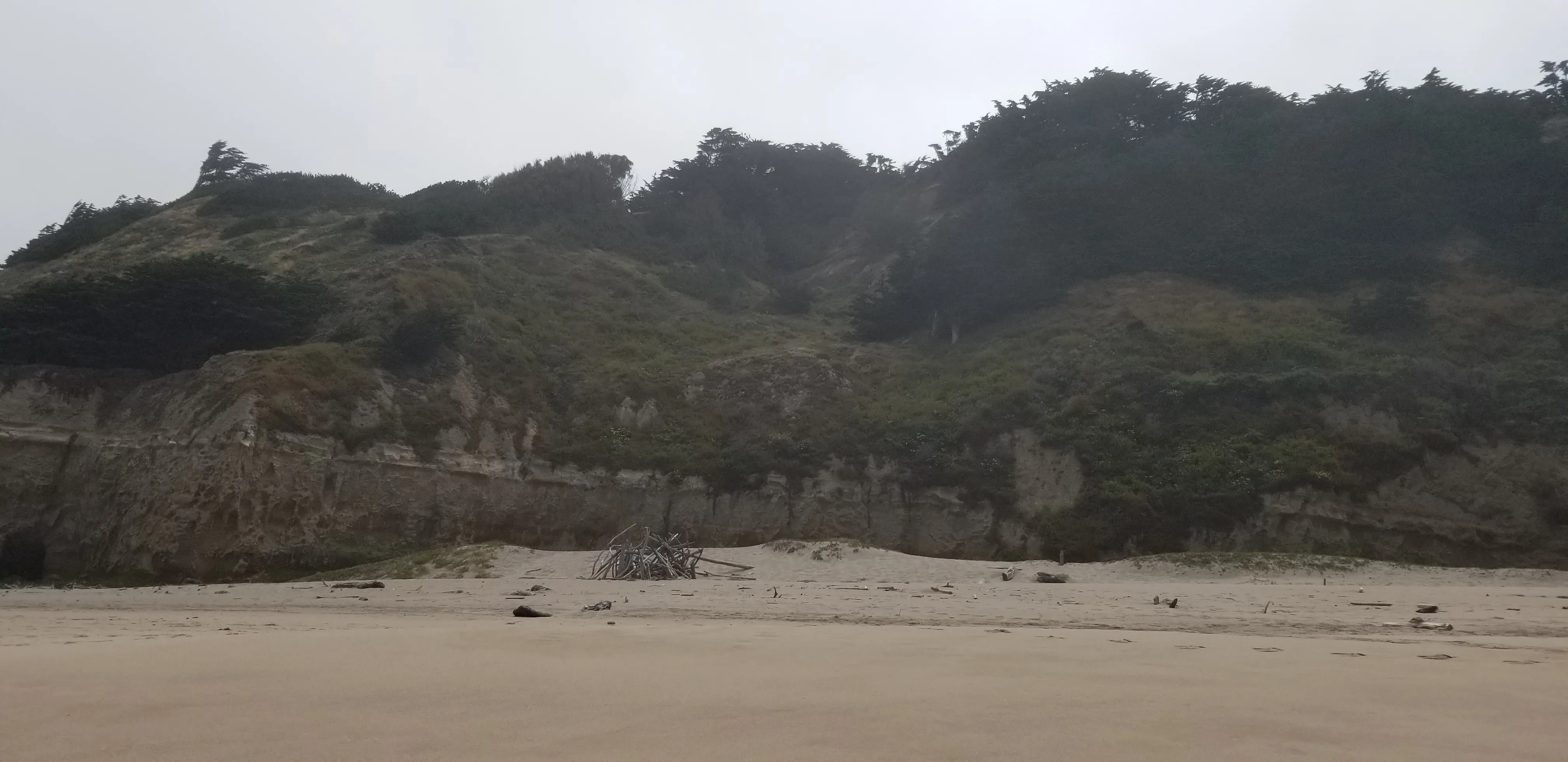 Southern Beaches at San Gregorio State Beach 