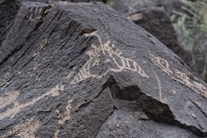 Petroglyphs National Monument, Albuquerque, New Mexico