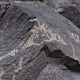 Petroglyphs National Monument, Albuquerque, New Mexico