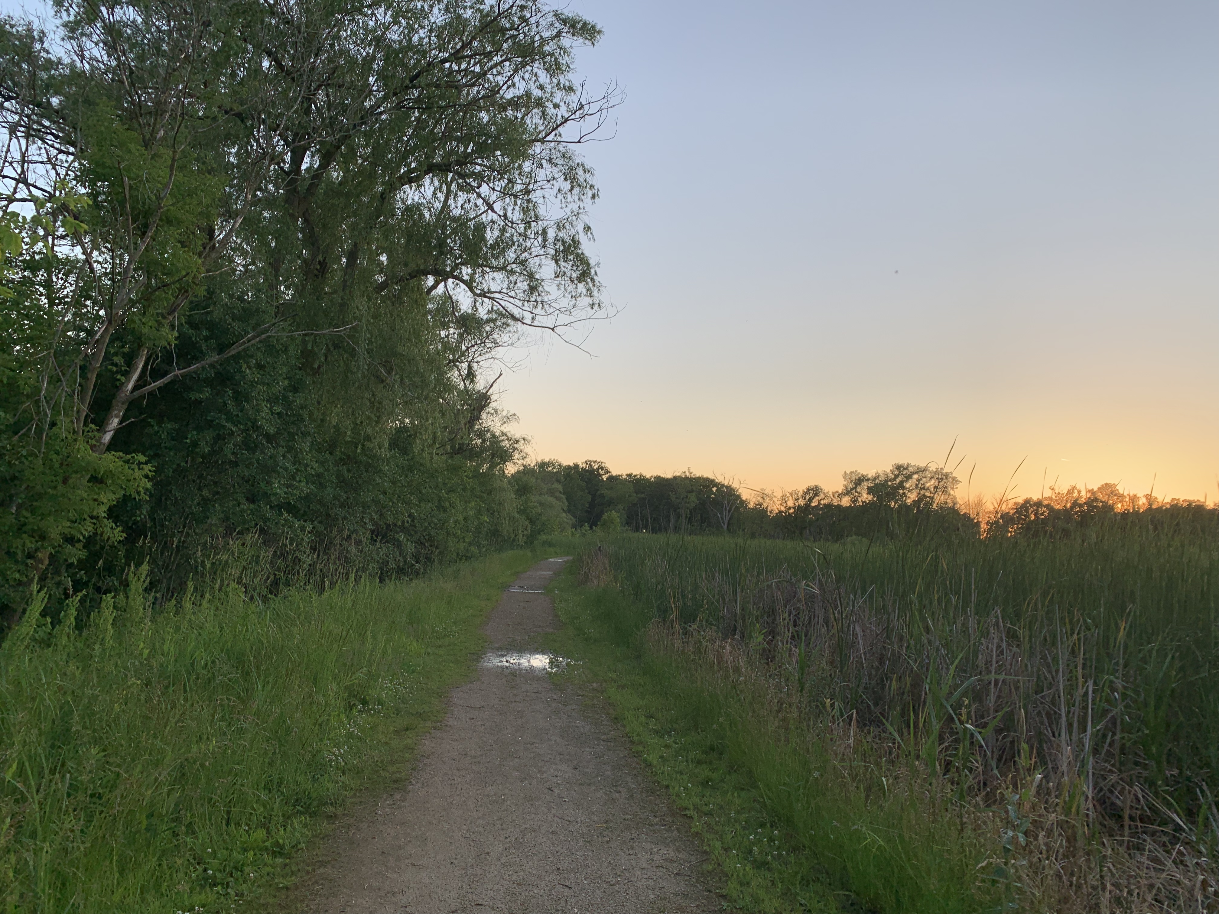 Hike the Prairie Wolf Slough Loop