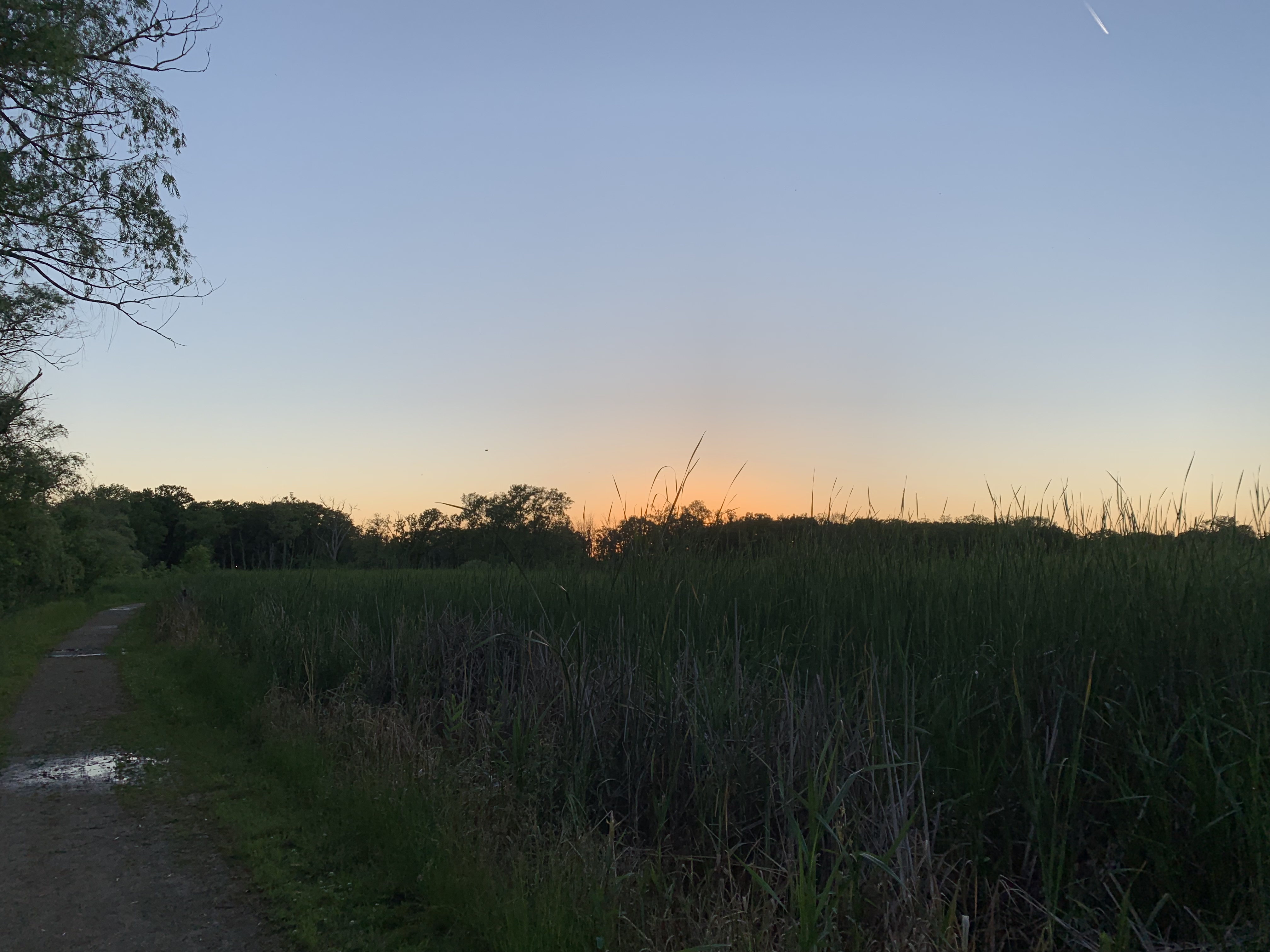 Hike the Prairie Wolf Slough Loop