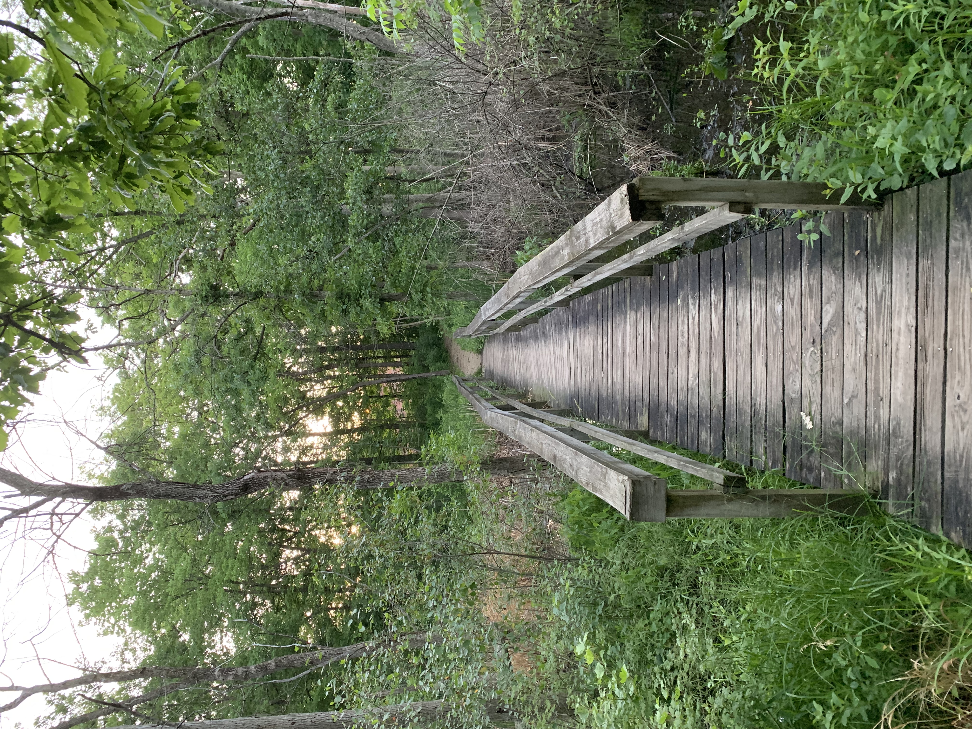 Hike the Prairie Wolf Slough Loop