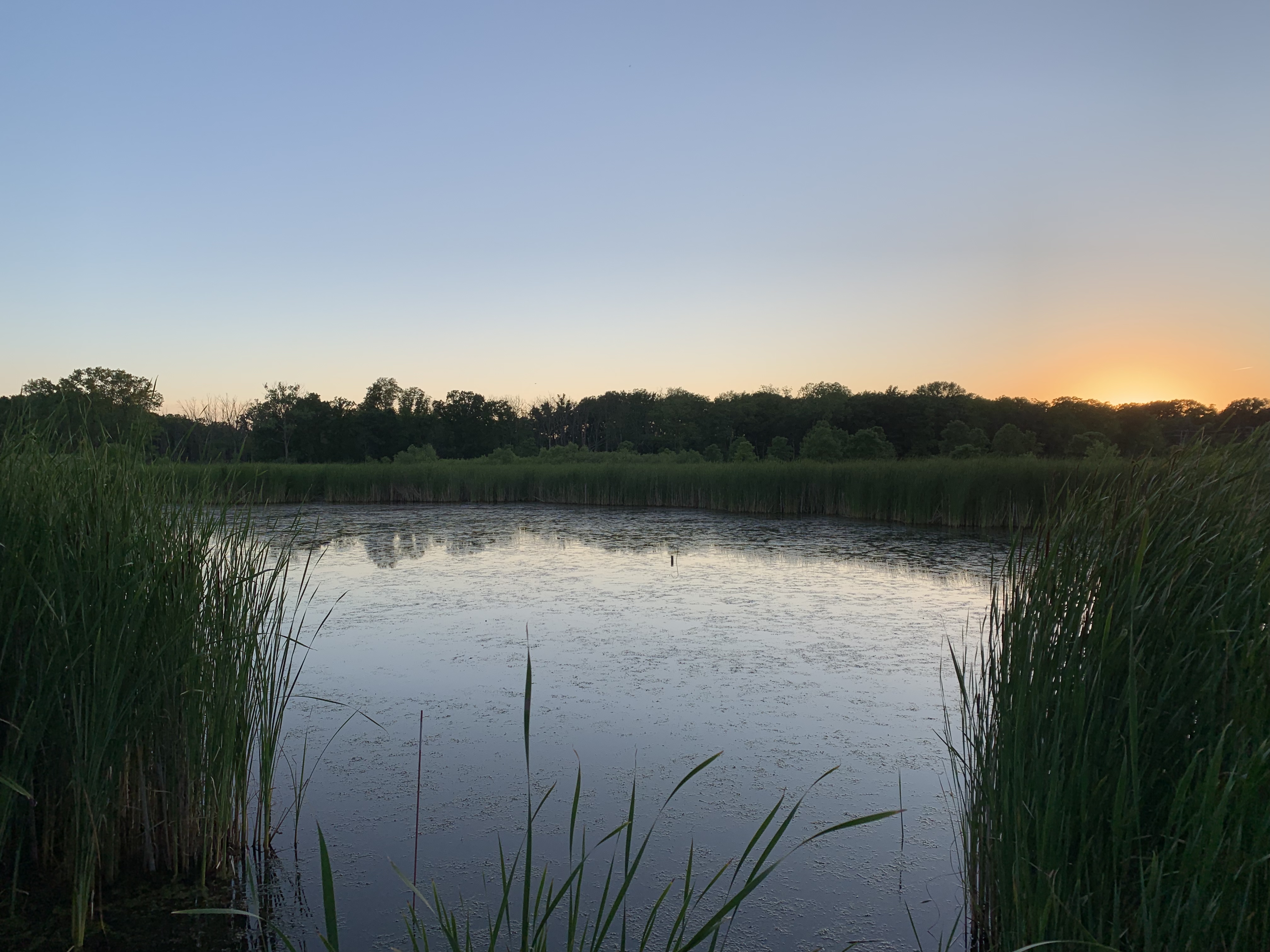 Hike the Prairie Wolf Slough Loop