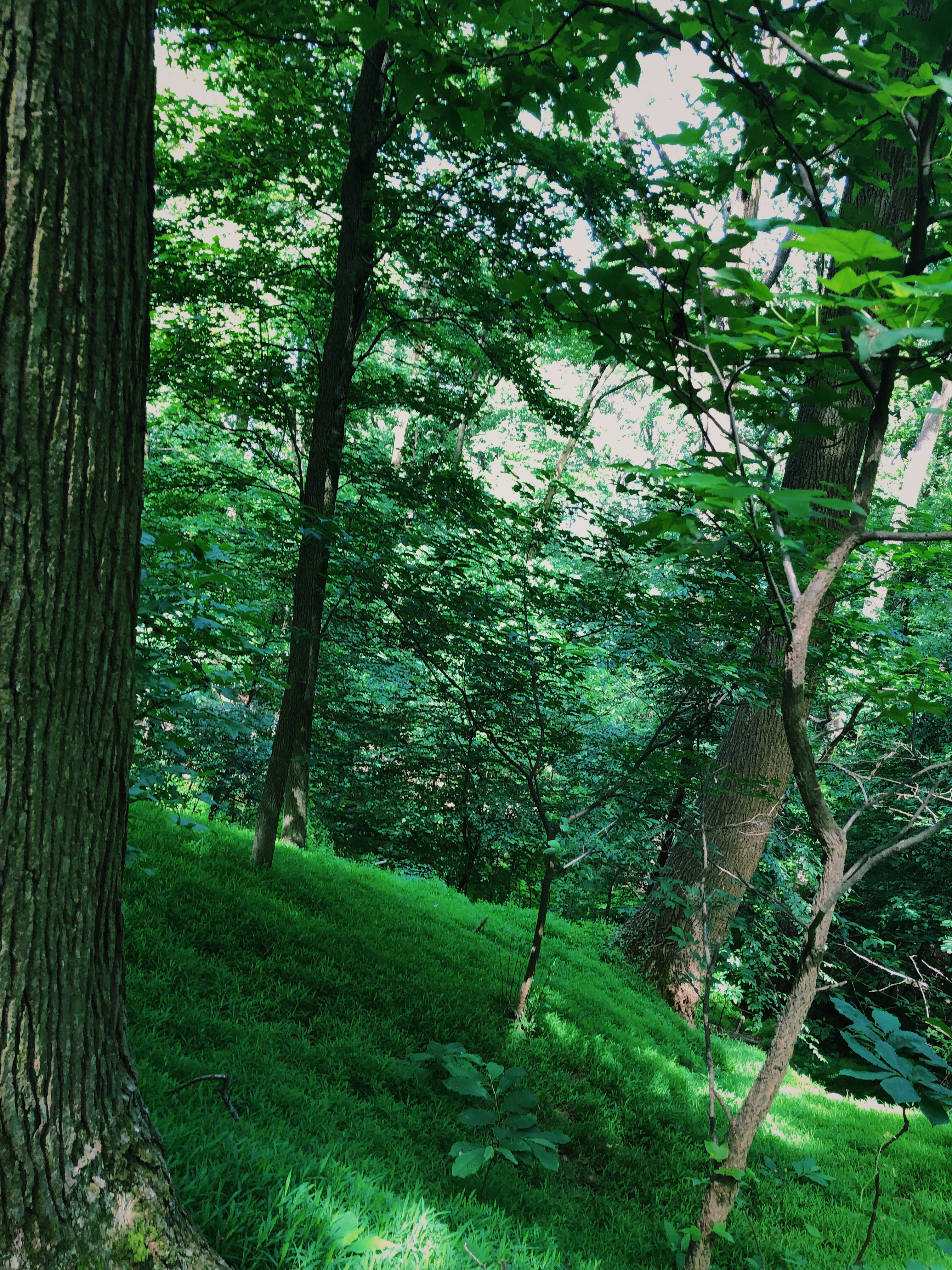 Hike the White Banks Trail at Elk Neck SP