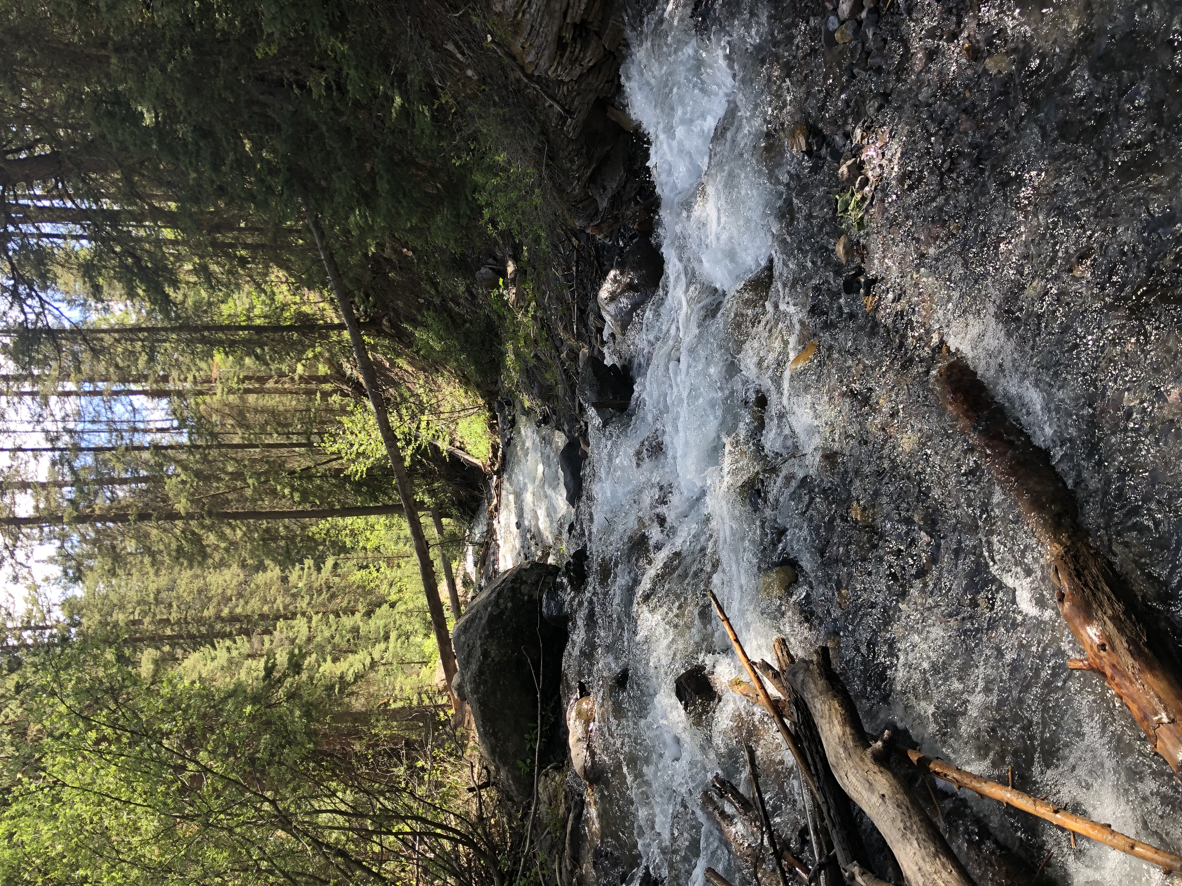 Hike the Jud Wiebe Trail