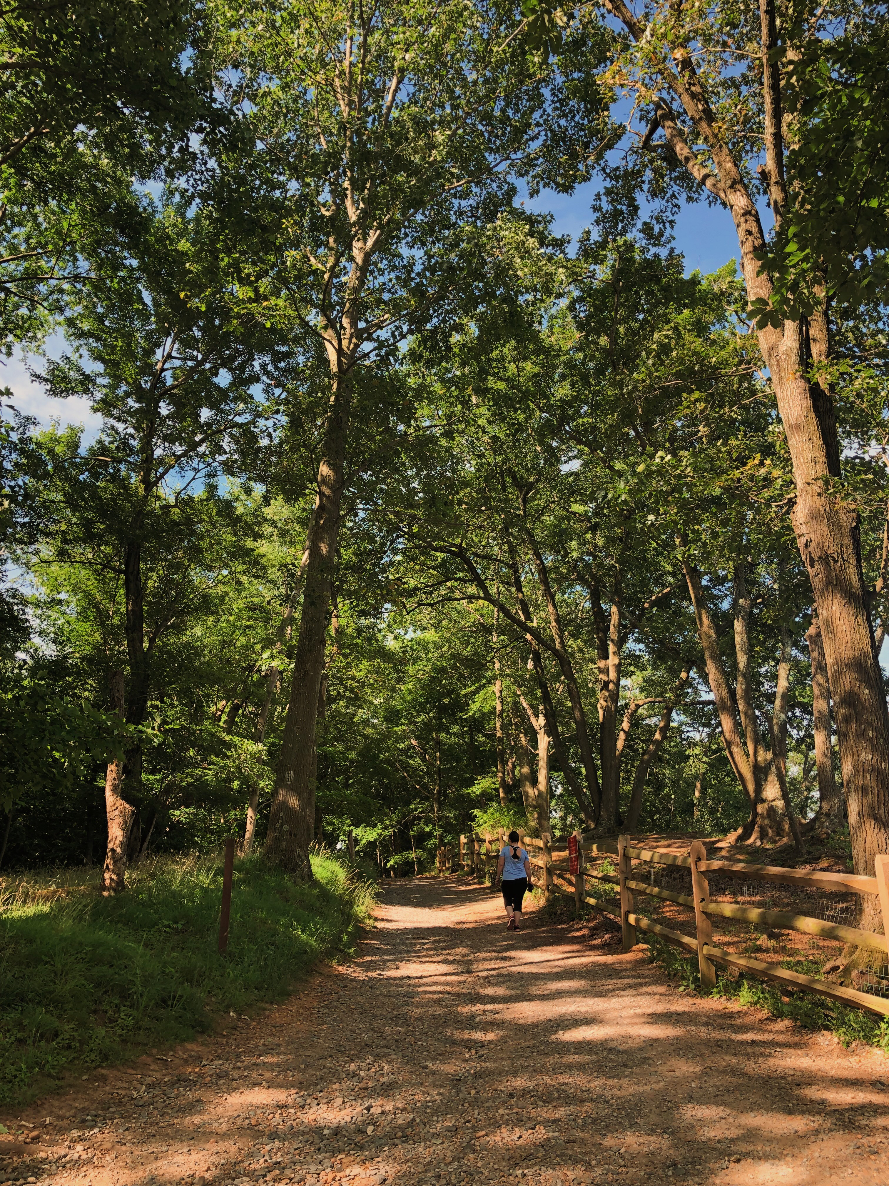 Hike the White Banks Trail at Elk Neck SP