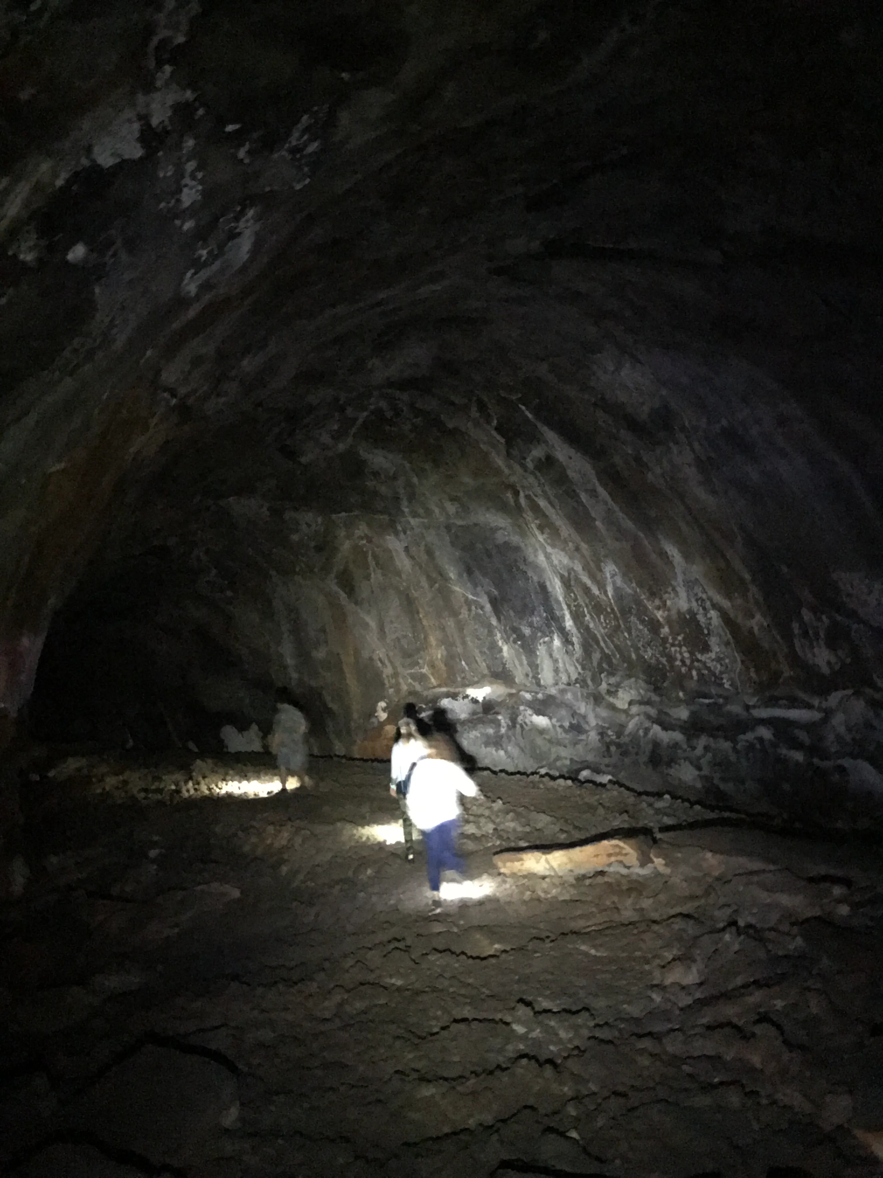 Explore Flagstaff's Lava River Cave