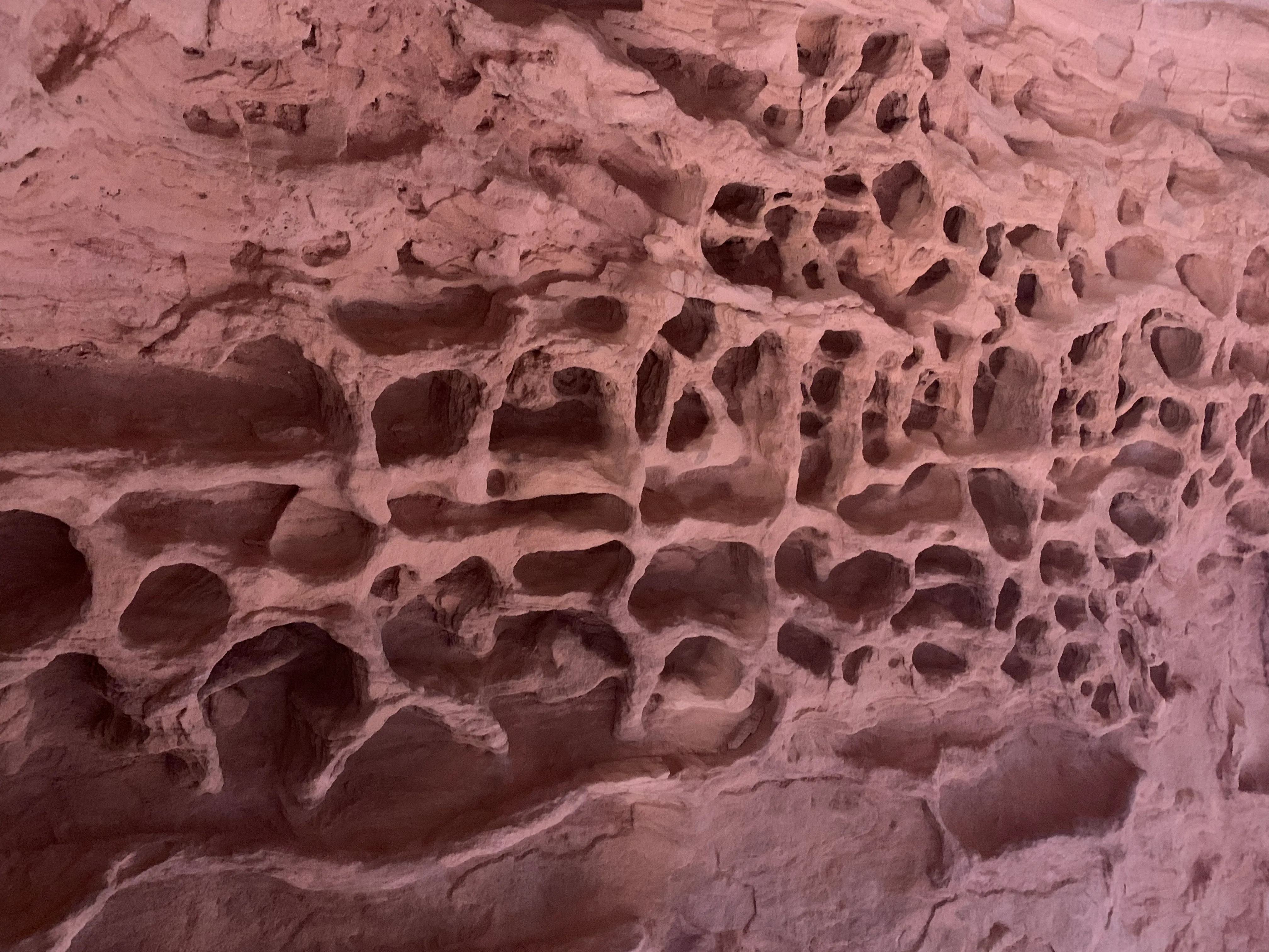 Hike Jenny's Canyon in Snow Canyon State Park