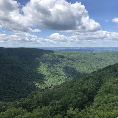 Take in the View at Coopers Rock Overlook