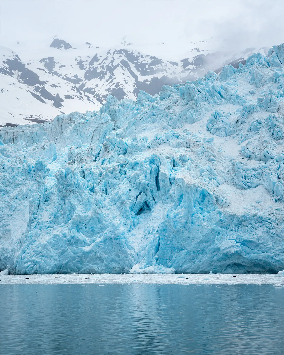 Explore Kenai Fjords National Park