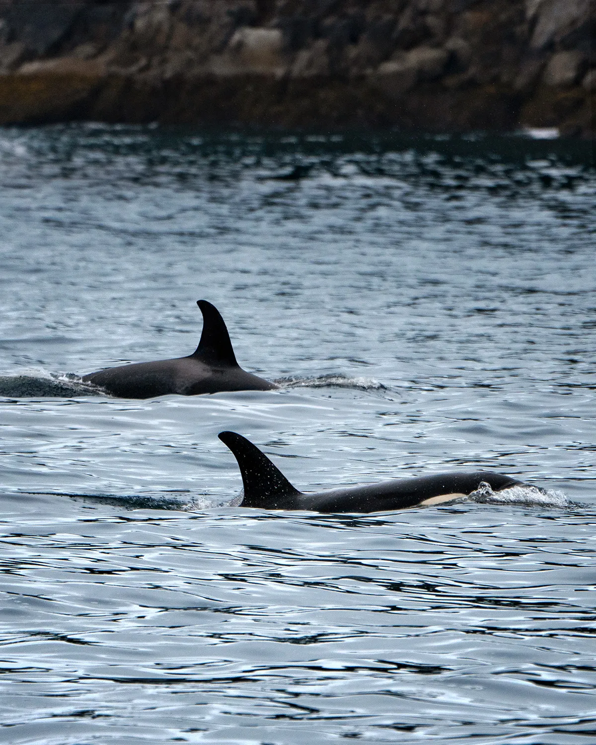 Explore Kenai Fjords National Park