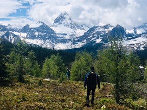 Hiking from Assiniboine Lodge