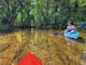 Paddle the Headwaters of the Clinton River