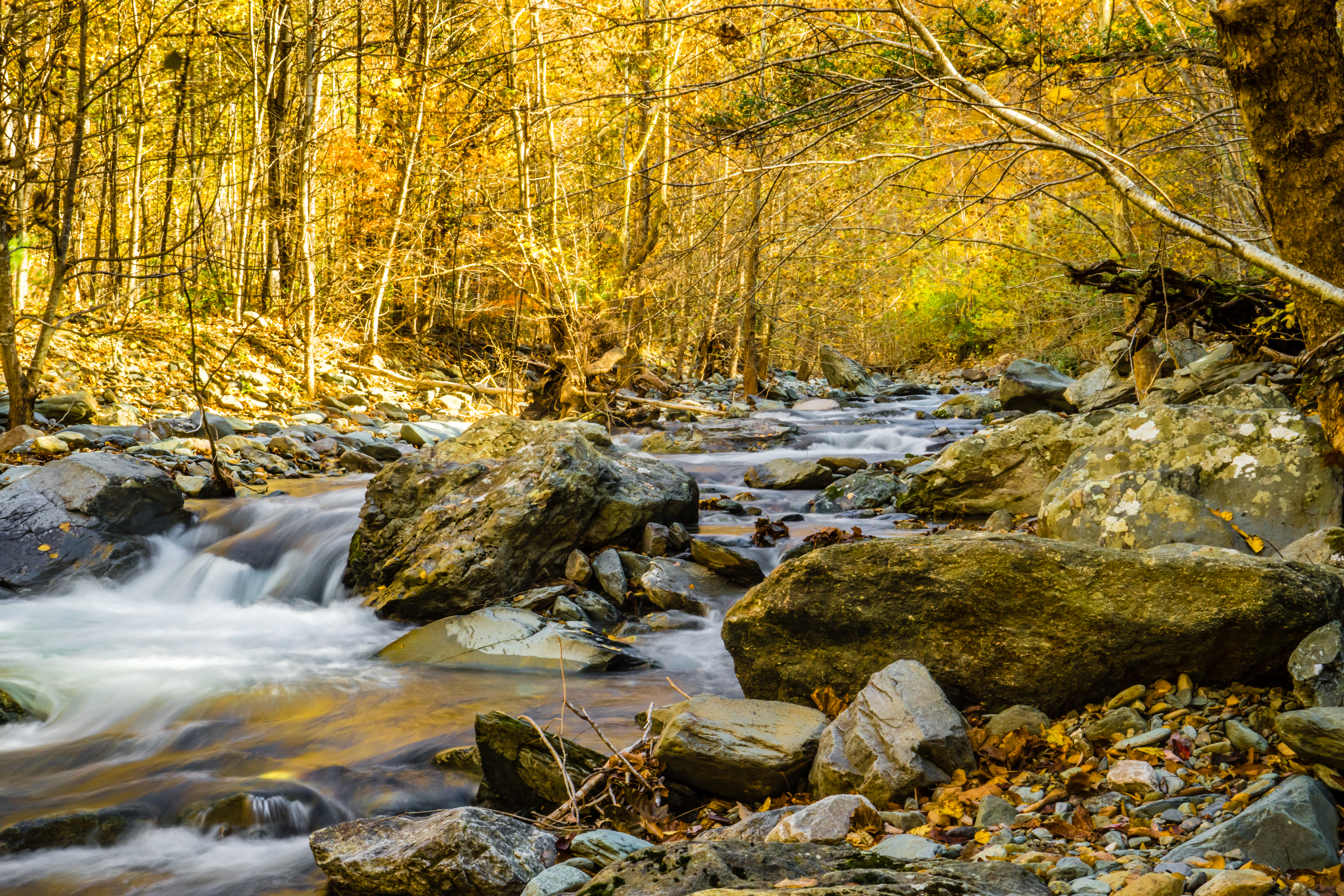 Hike Moorman's River