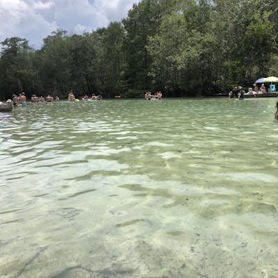 Paddle to Cypress Spring