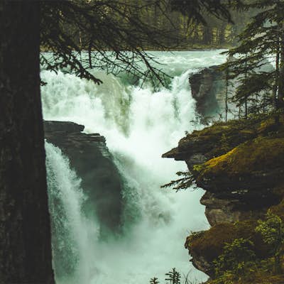 Explore Athabasca Falls