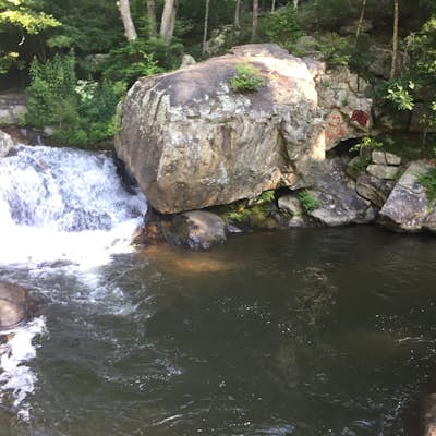 Swim at Panther Falls