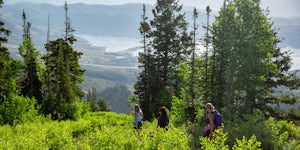 Go Wild at Deer Valley this Summer