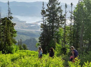 Go Wild at Deer Valley this Summer