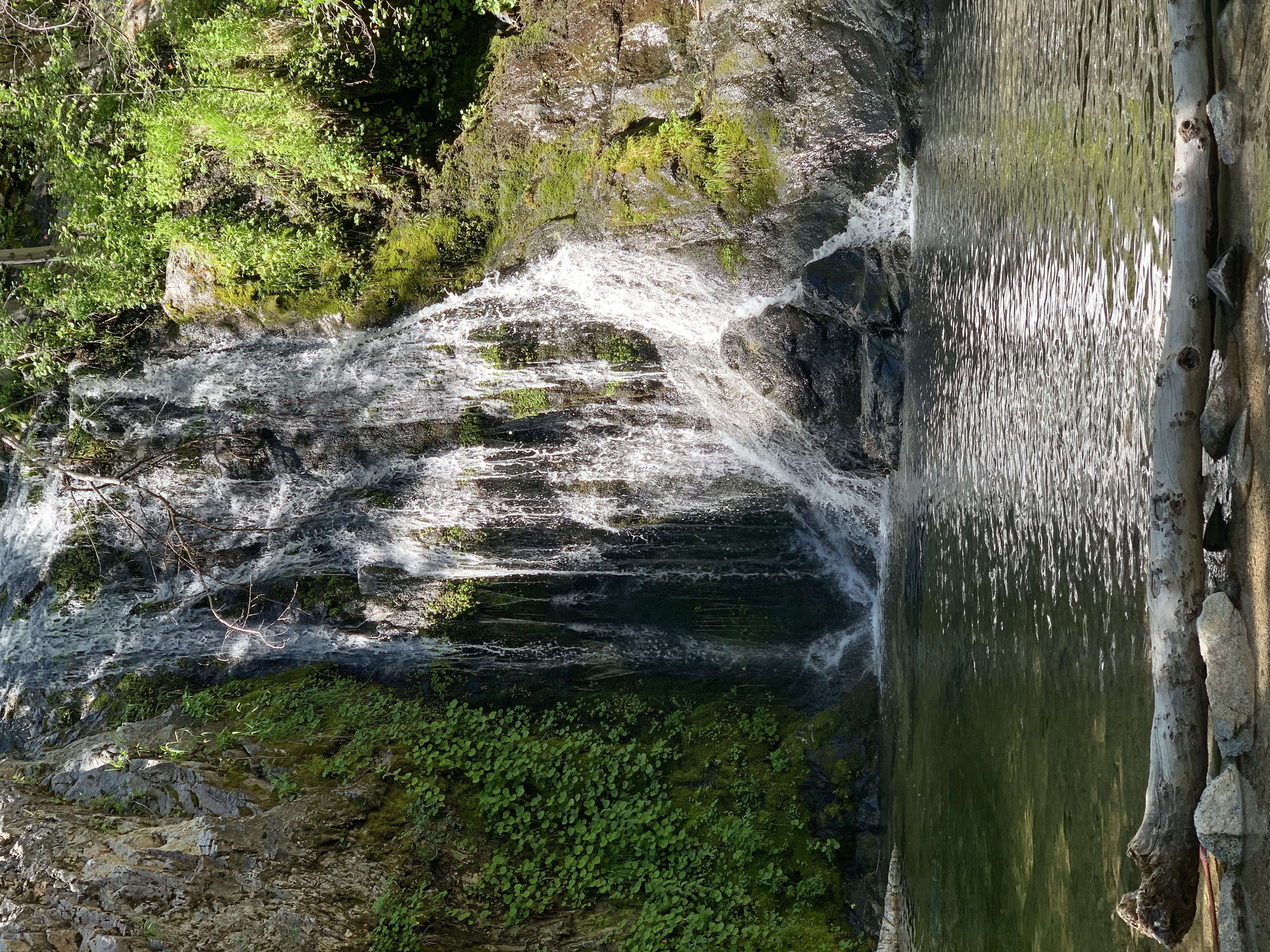 Cooper Canyon Falls via Burkhart Trail