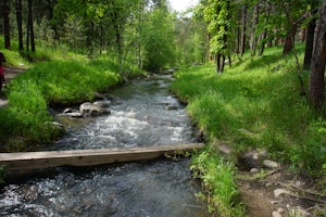 Hike Grace Coolidge Walk-In Area