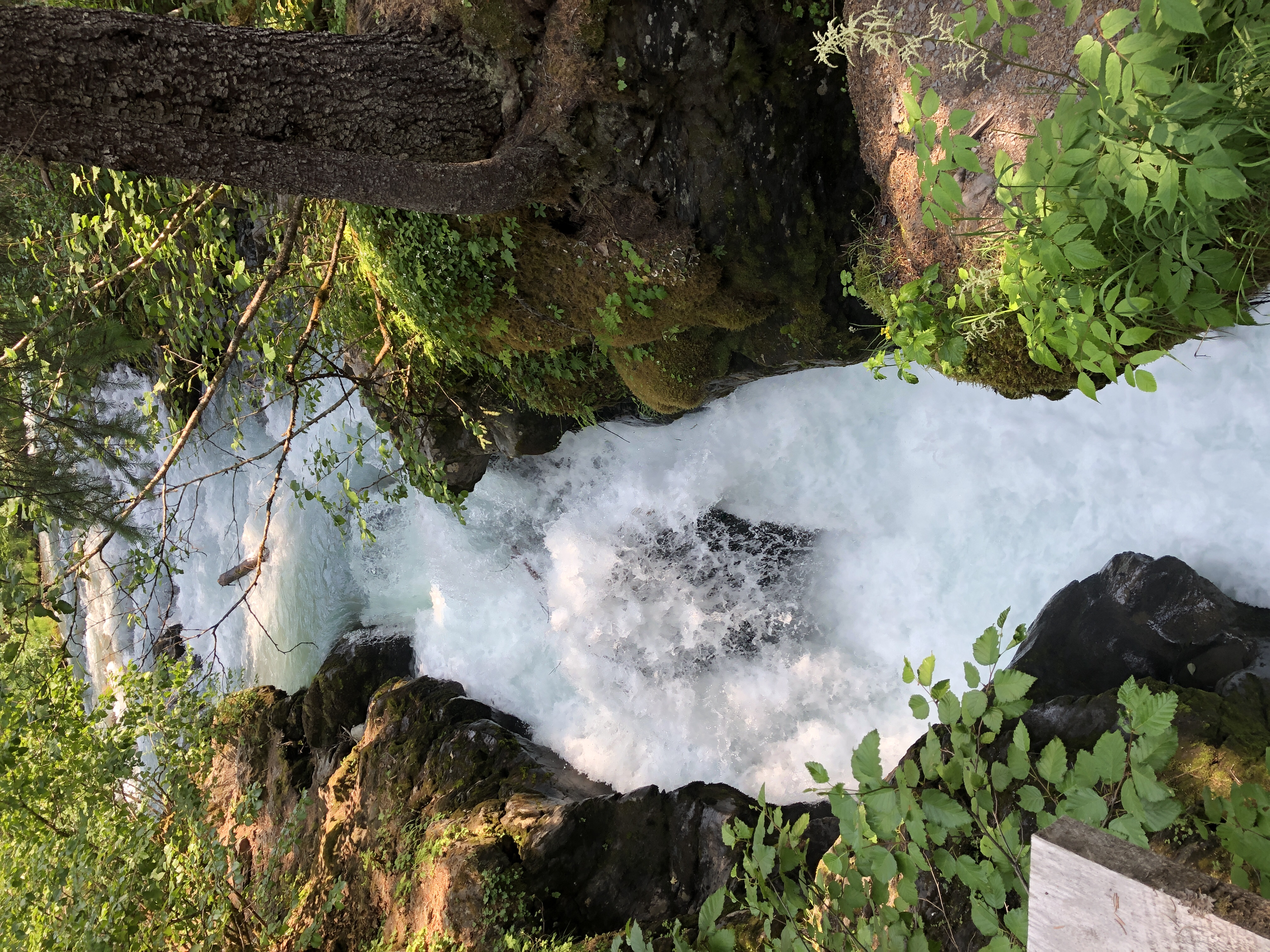 Hike Winner Creek Gorge