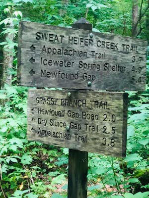 Kephart Prong Trail, Great Smoky Mountains NP