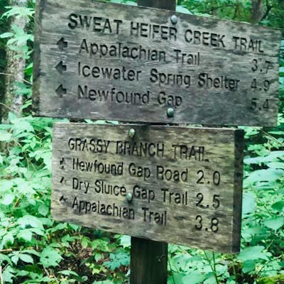 Kephart Prong Trail, Great Smoky Mountains NP