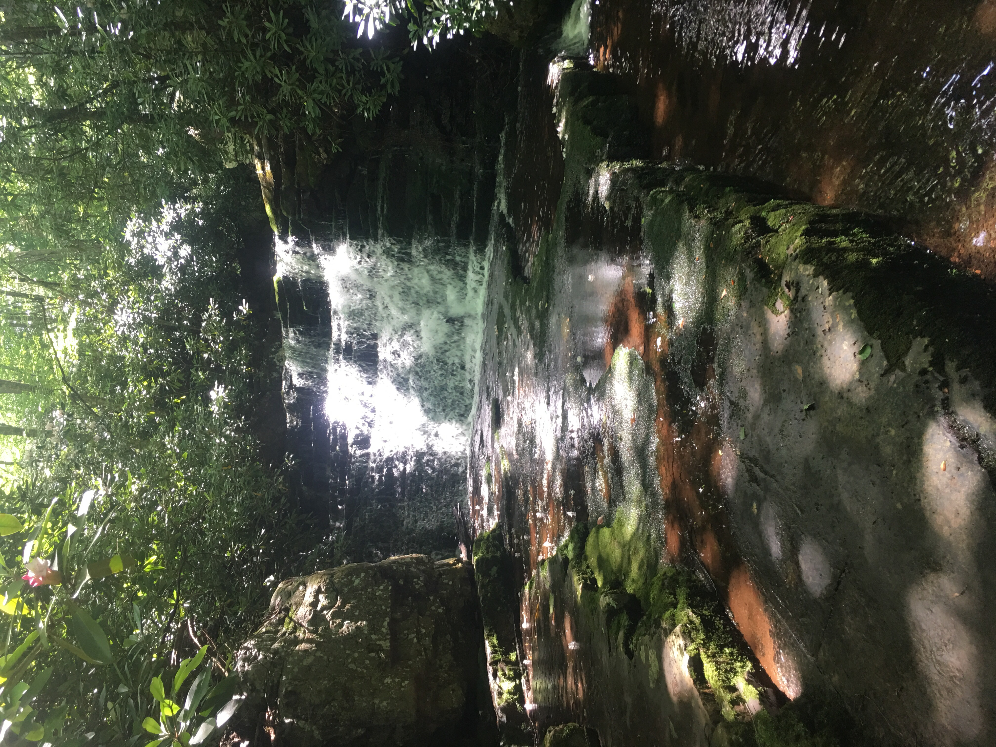 Photograph Dismal Falls 