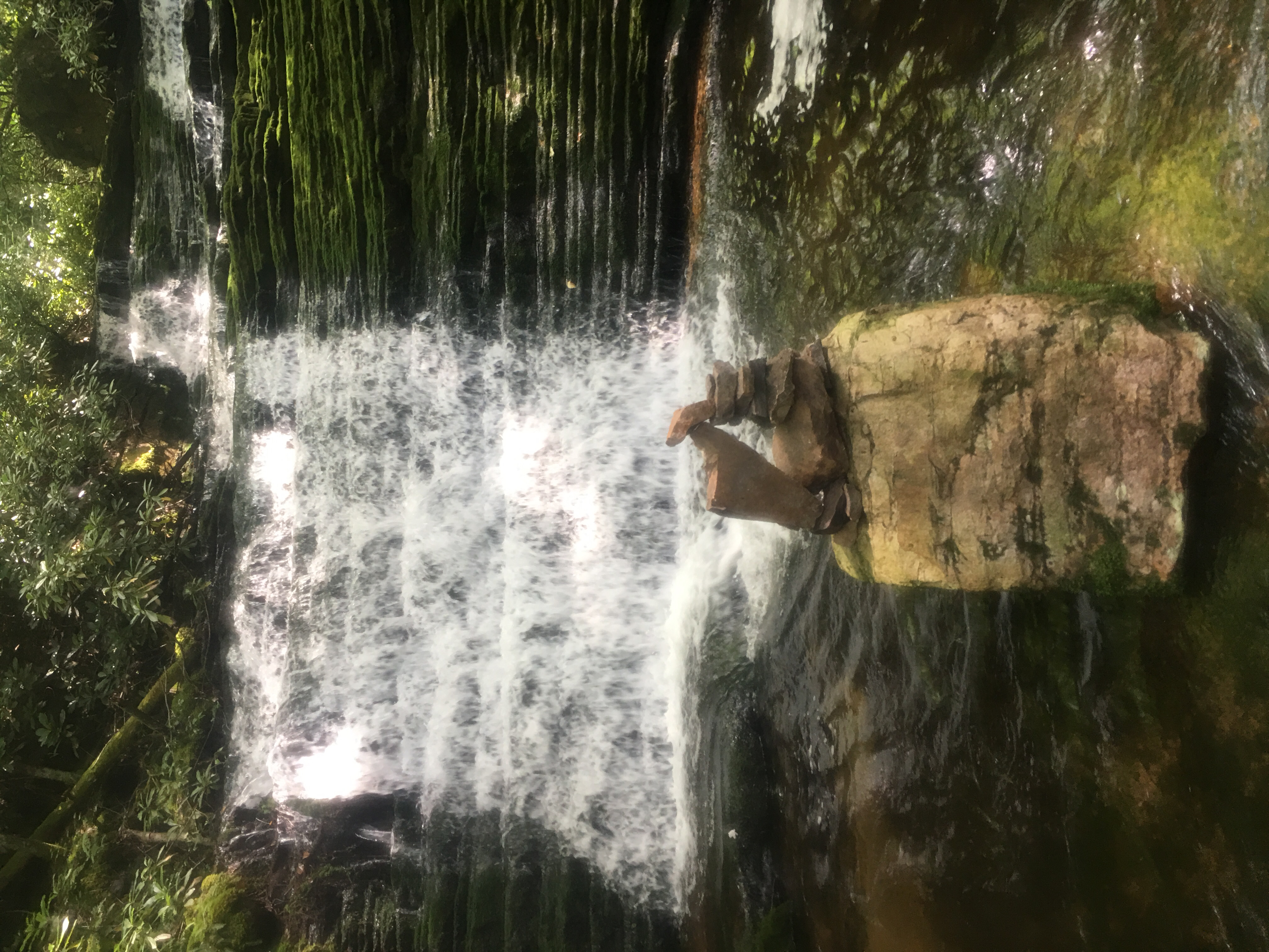 Photograph Dismal Falls 