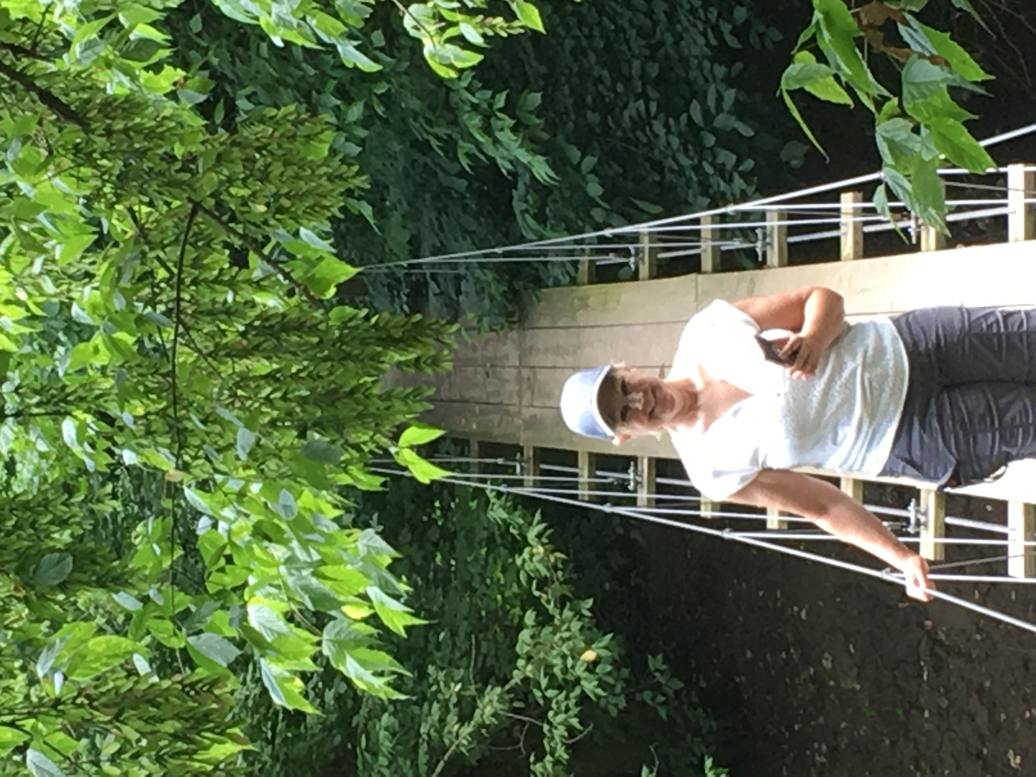 Princeton Battlefield Park Suspension Bridge