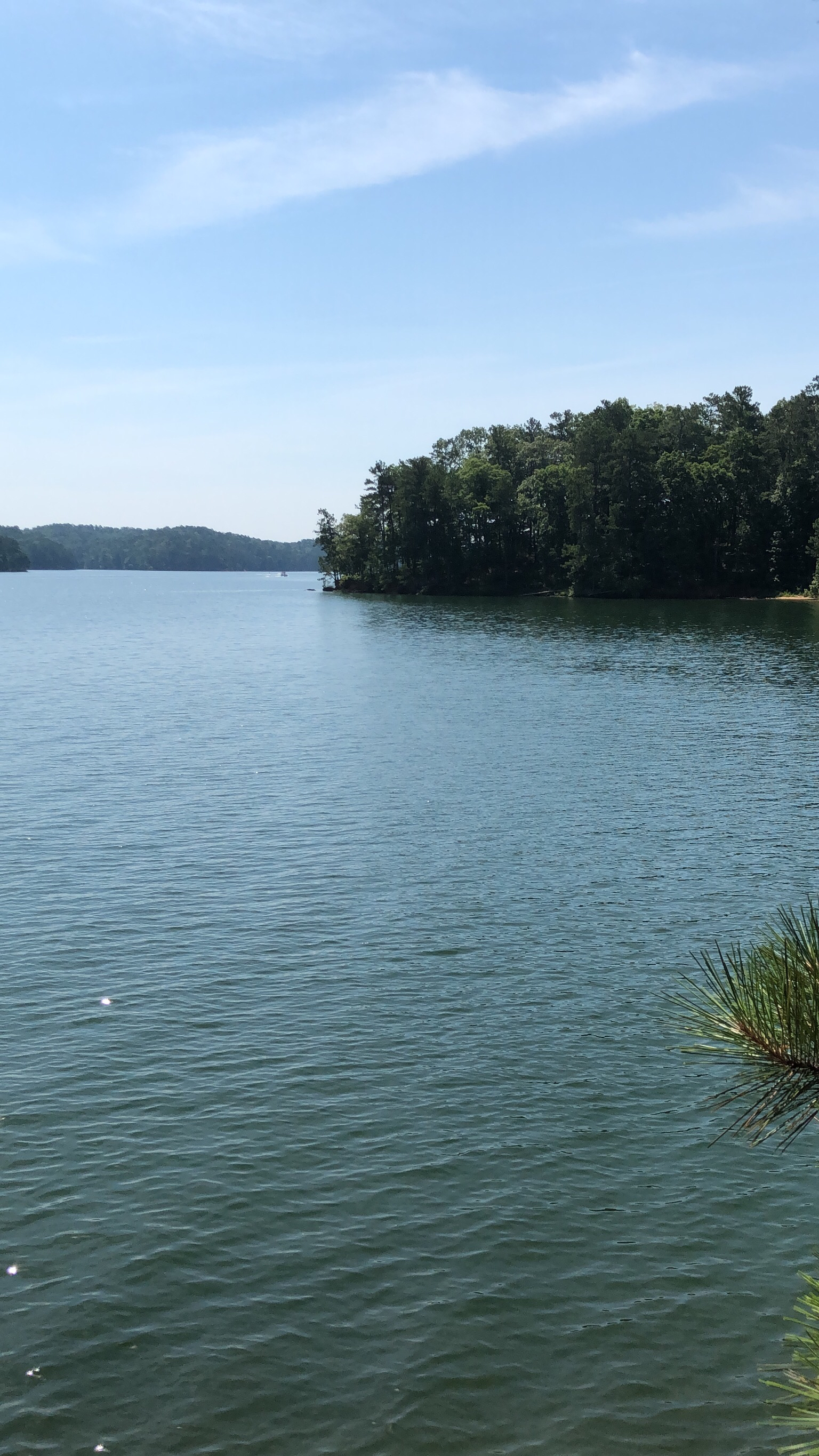 Hike and Swim at Red Top Mountain