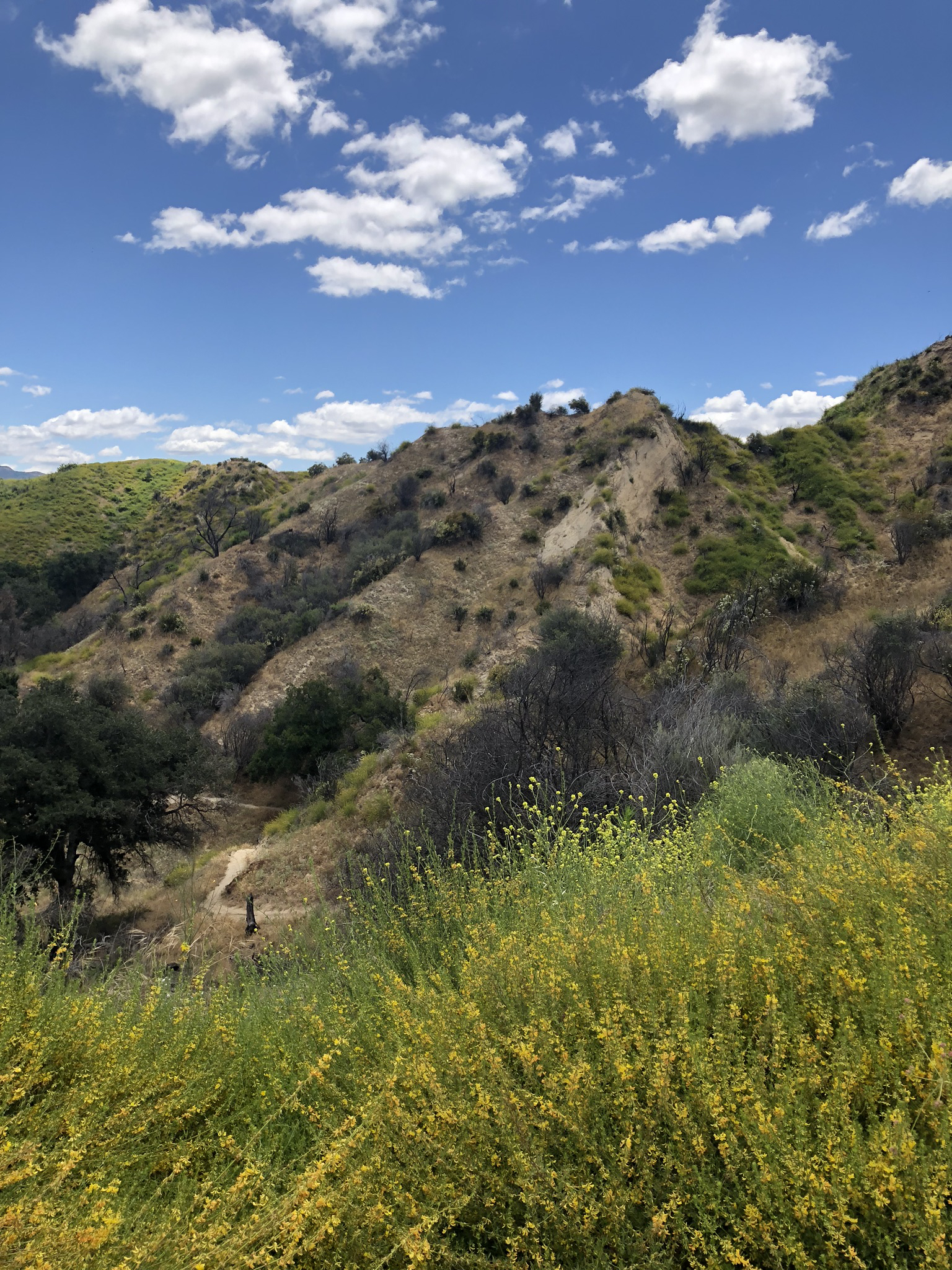Towsley Canyon Loop