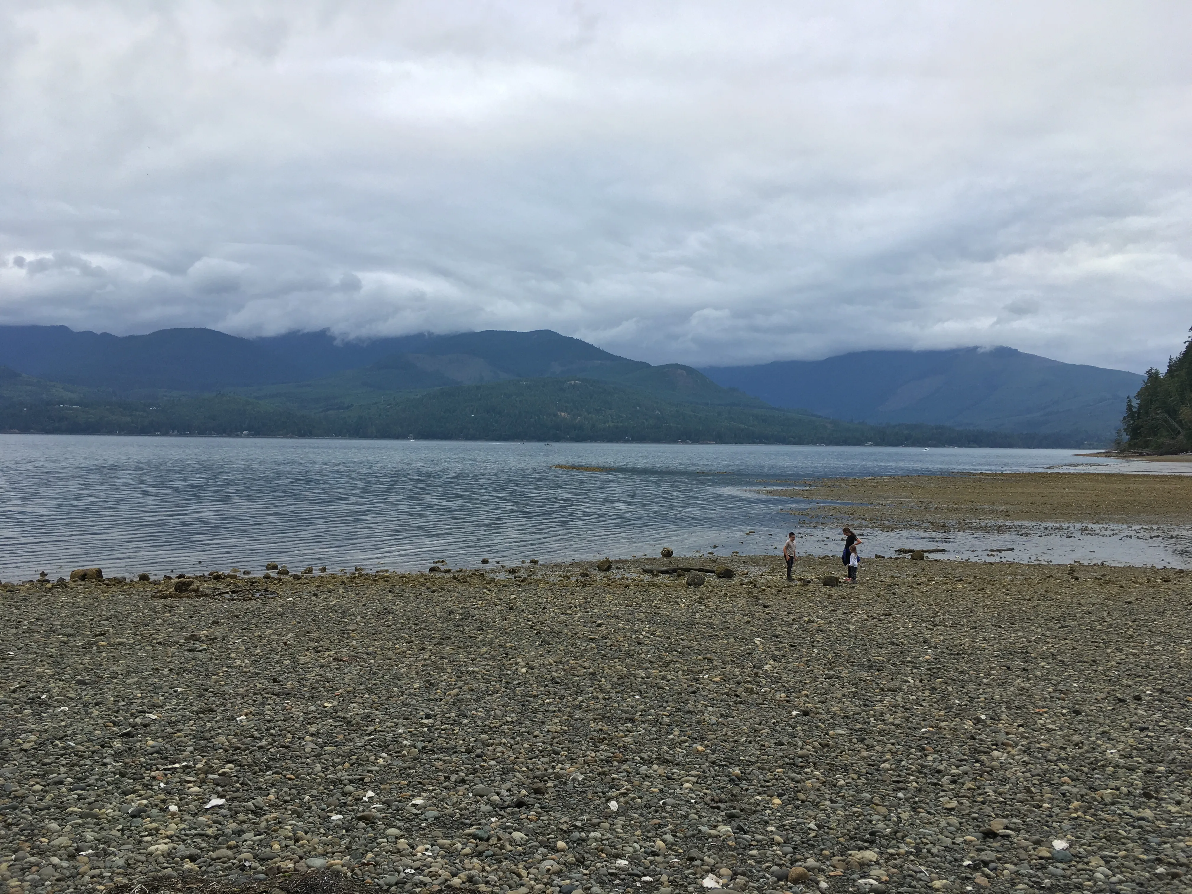 Guillemont Cove Stump House and Beach House