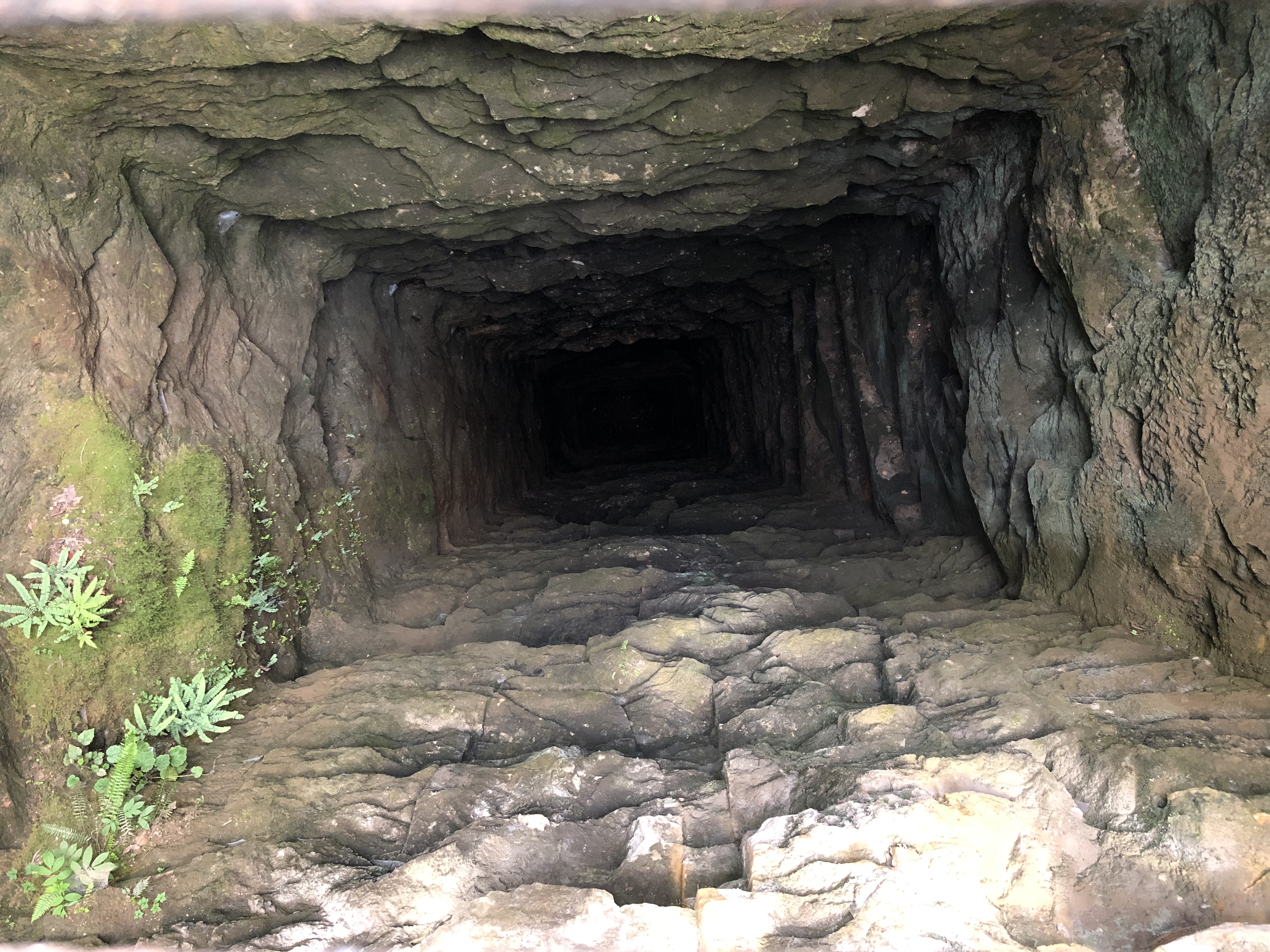 Explore the Green River Gorge