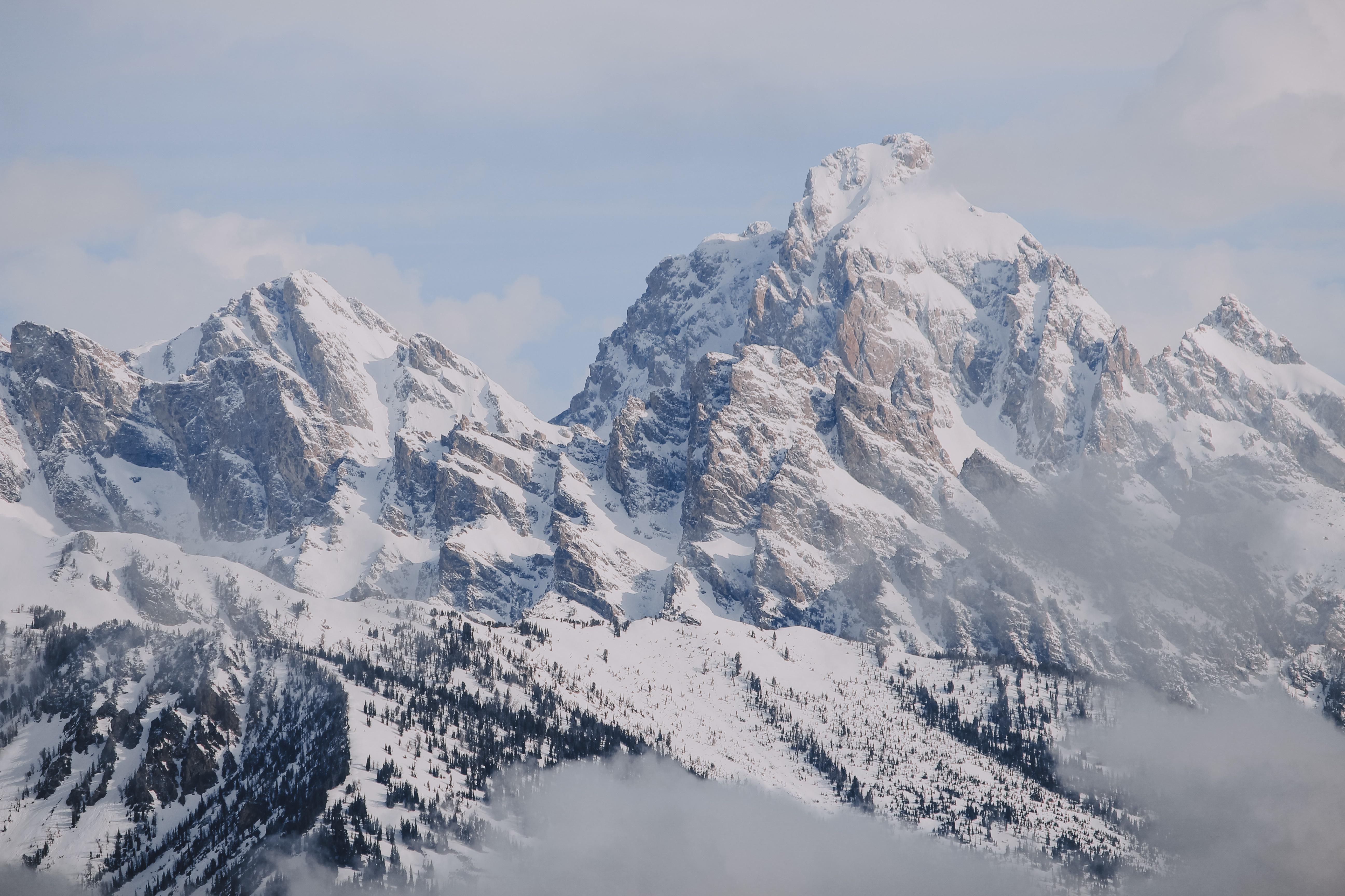 Winter Wildlife Photography in Grand Teton National Park 