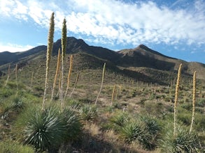 Hike the Agave Loop Trail