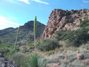Hike to West Cottonwood Springs Trail