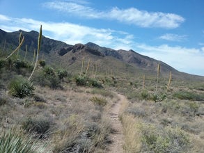 Hike the Tom Mays Trail