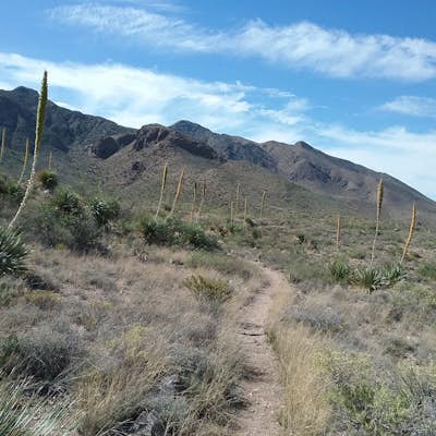 Hike the Tom Mays Trail