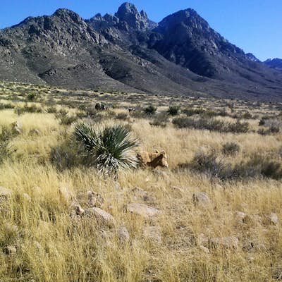 Hike the Baylor Pass West Trail