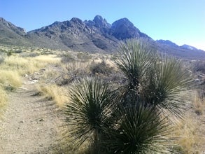 Hike the Baylor Pass West Trail