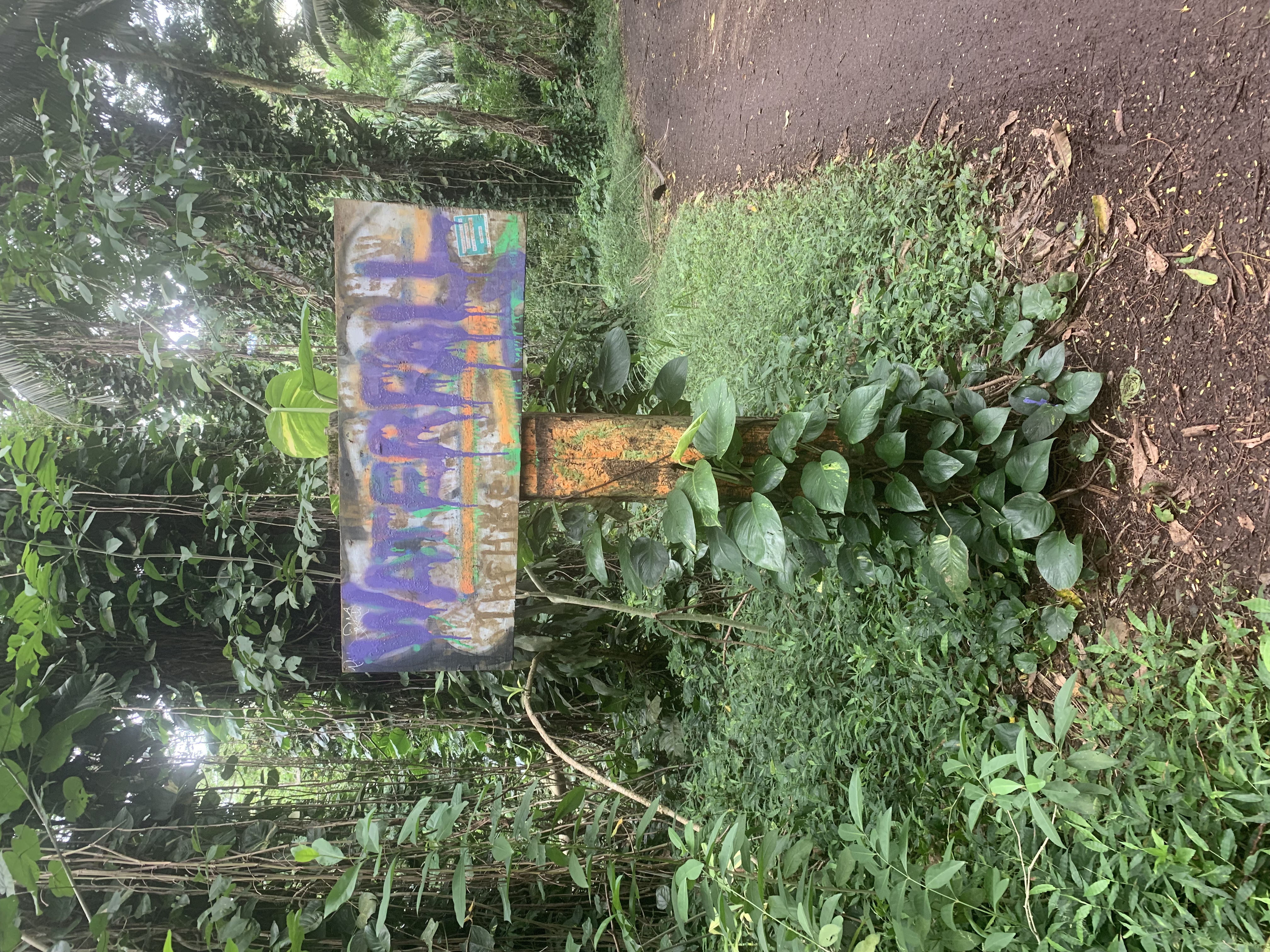Maunawili Falls
