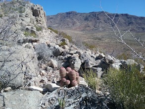 Granola Bowl Loop Trail