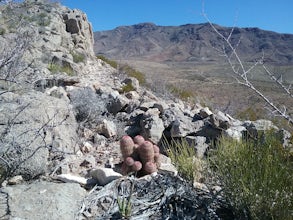 Granola Bowl Loop Trail