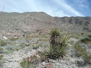 Hike the Vertigo Ridge Trail