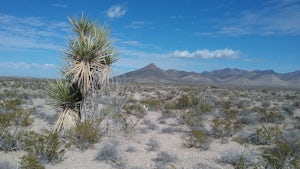 Hike the Sierra Vista Trail from Vado to Bishop's Cap