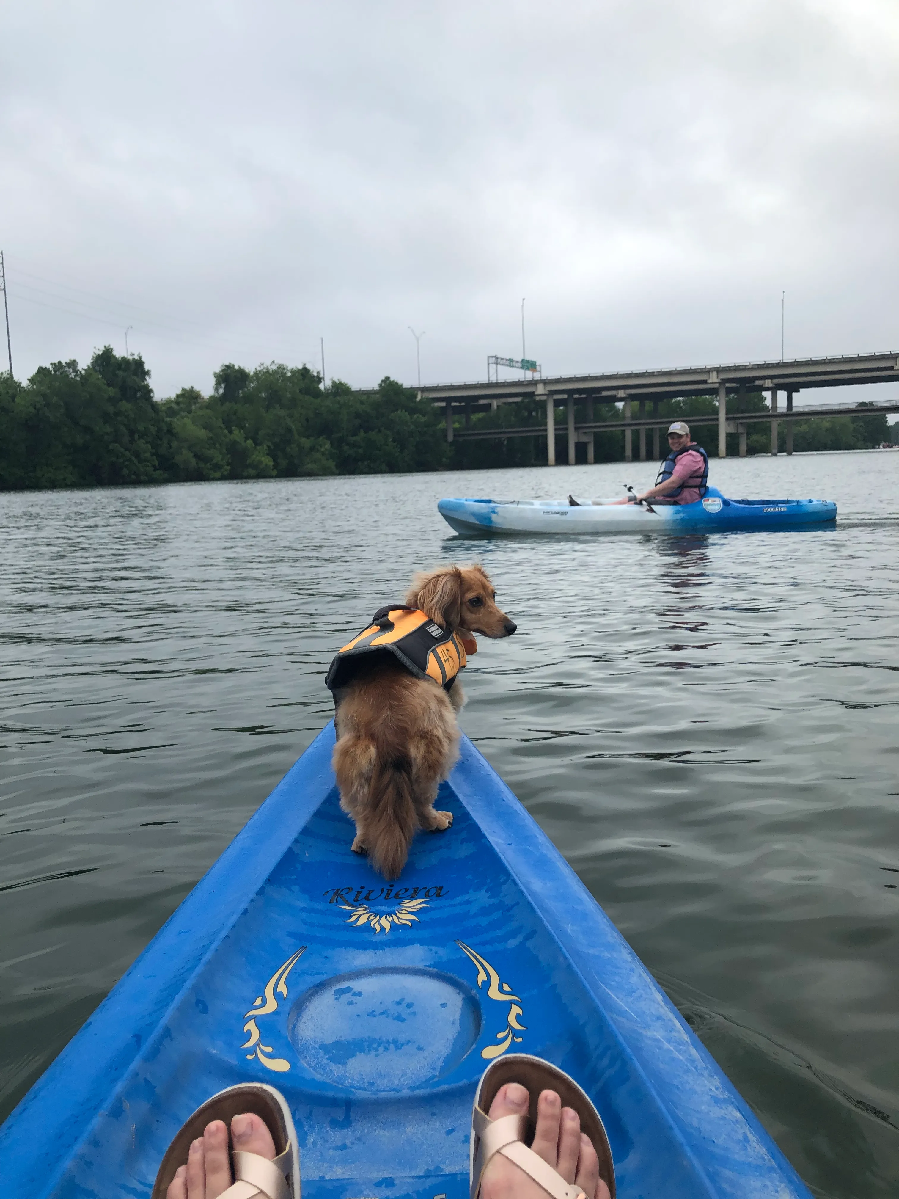 Paddle on Lady Bird Lake in Austin