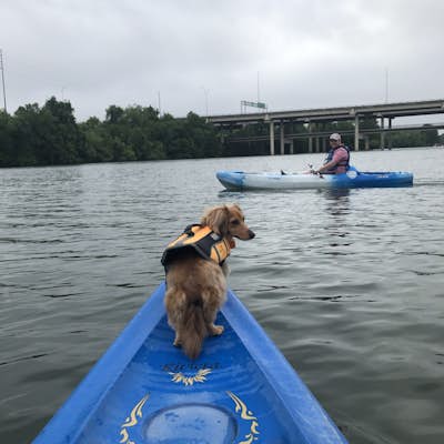 Paddle on Lady Bird Lake in Austin