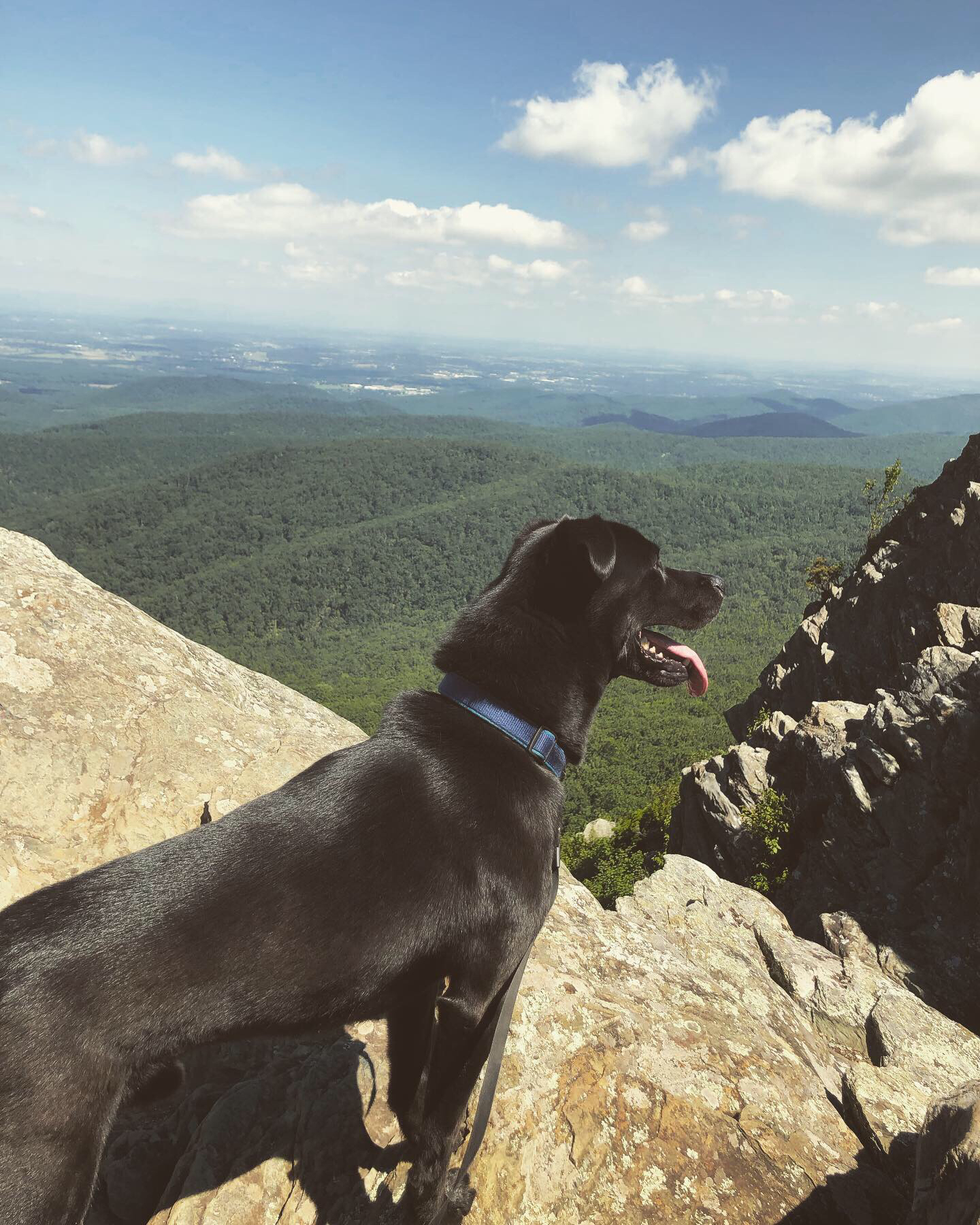Humpback Rocks